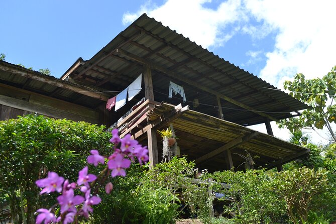 Full-Day Hike and Bike Tour from Chiang Mai - The afternoon bike ride: rural roads, local fruit talk, and an orchid farm finish