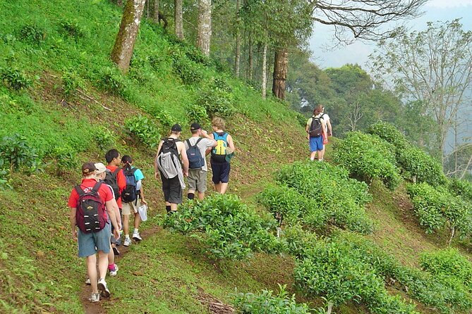 Full-Day Hike and Bike Tour from Chiang Mai - Wat Ban Den: a short temple stop that adds meaning