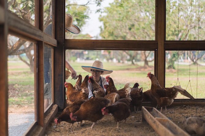 Full-Day Thai Cooking Class with Grandma - Market and Farm Tour - The Coconut Milk Moment: A Traditional Wooden Grater Skill