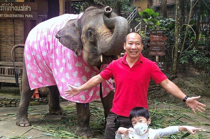 Half Day Car Hire with an English Speaking Driver in Chiang Mai - Price and Value: Is $99 a Good Deal for Your Group?