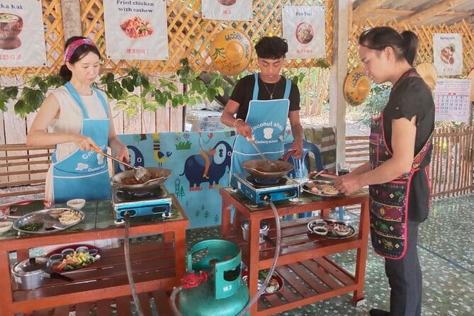 Half Day Chiang Mai Cooking Class and Market Taste Tour - Key points at a glance