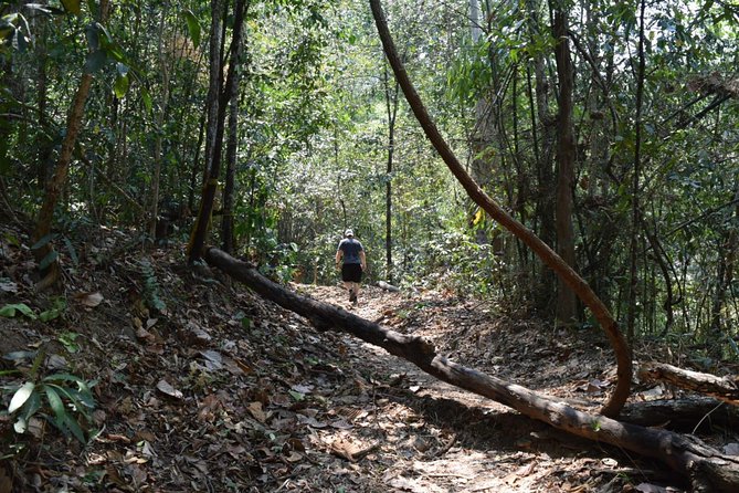 Half Day Doi Suthep Temple and short trekking on monk trail (Private Tour) - Wat Pha Lat: Less Showy Buildings, More Peaceful Grounds