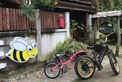 Half-day E-bike Countryside and rice paddies (flat land, GUIDED) - Wat Ton Kwen: old Lanna temple stop number one