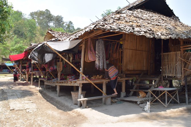 Half Day Long Neck hill tribe and Elephant POOPOOPAPER Park (Private Tour) - Guide Quality: TAT License, English Support, and Real Care