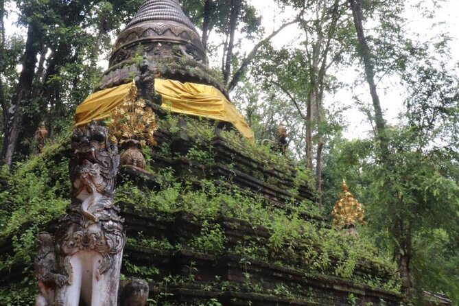 Half Day Morning Wat Pha Lat & Wat Phra That Doi Suthep Tour - Chiang Mai Pickup: The Start That Sets the Tone