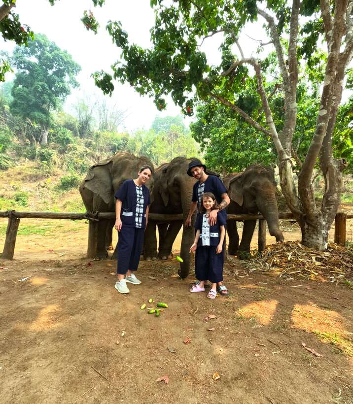 Half-day with CHIANGMAI ELEPHANT CARE program (12pm-6pm.) - Key highlights worth your attention