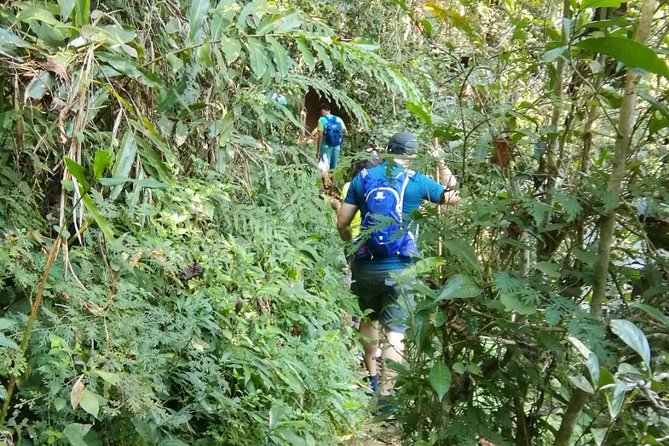 Hiking and Zipline Private Tour from Chiang Mai +Karen Village - Mae Sa Waterfall and the Trek: Expect Hills, Plan for Sweat
