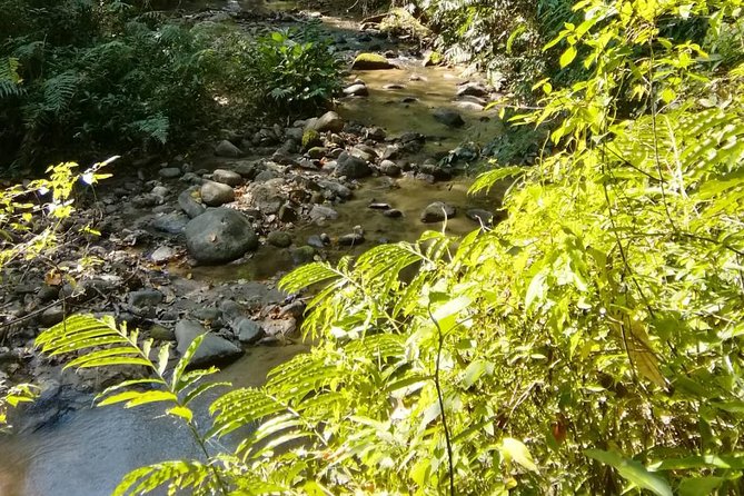 Hiking and Zipline Private Tour from Chiang Mai +Karen Village - Price and Value: What $162.50 Buys You