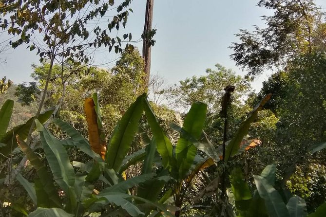 Hiking and Zipline Private Tour from Chiang Mai +Karen Village - Who Should Book This Tour (and Who Might Skip It)