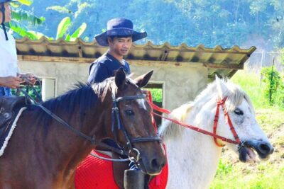 Horse Lesson+Riding+Wat Tonkwen wooden temple.Chiangmai - The Horse Park Lesson: Instruction, Horse Care, and Getting Comfortable