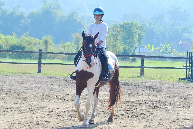 Horse Lesson+Riding+Wat Tonkwen wooden temple.Chiangmai - Price and Value: Is $100.52 Per Person a Good Deal?