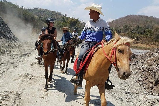 Horse Lesson+Riding+Wat Tonkwen wooden temple.Chiangmai - Should You Book This Horse + Wat Ton Kwen Combo?