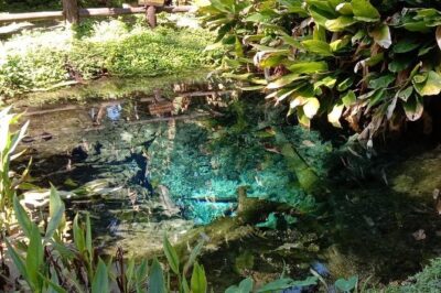 Hot! Doisuthep Temple+Wat Palad+Sticky waterfall - Wat Phra That Doi Suthep: Lanna Spirit and Hilltop Meaning
