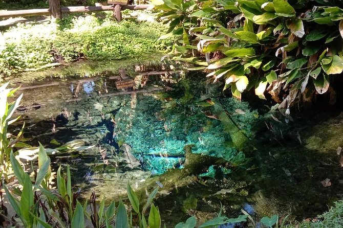 Hot! Doisuthep Temple+Wat Palad+Sticky waterfall - Wat Phra That Doi Suthep: Lanna Spirit and Hilltop Meaning