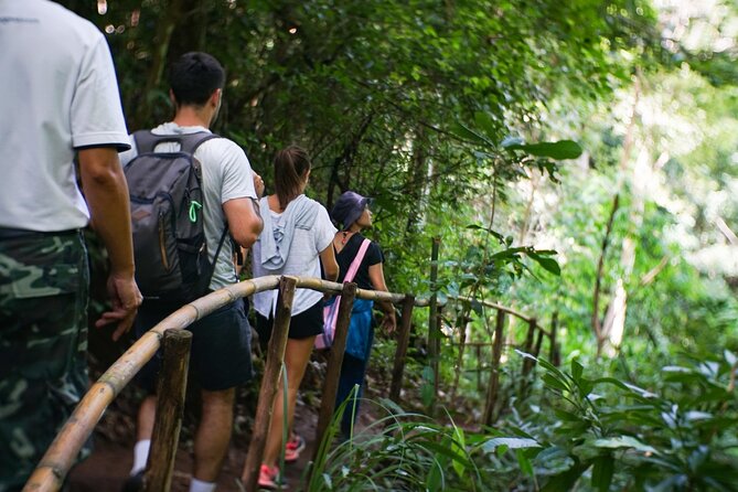 Inthanon National Park Tour with Soft Hike at Pha Dok Siew Trail - Ang Ka Nature Trail: A Short Rainforest Walk That Doesn’t Waste Your Time