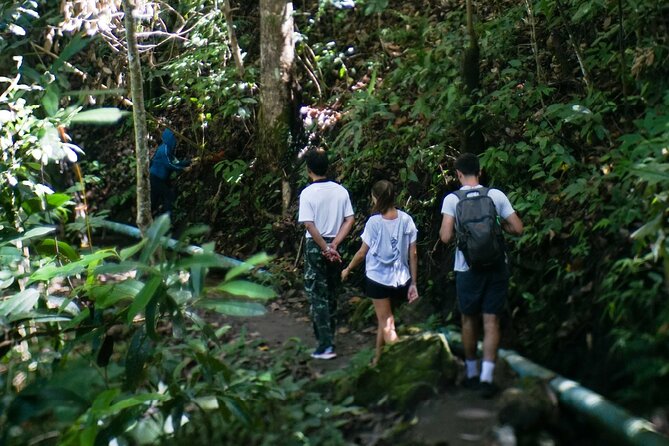 Inthanon National Park Tour with Soft Hike at Pha Dok Siew Trail - Pha Dok Siew Trail Soft Hike: Forest + Waterfall + Rice Terrace Views