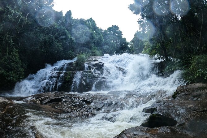 Inthanon National Park Tour with Soft Hike at Pha Dok Siew Trail - Karen Hill Tribe Village and Coffee: The Ending That Adds Meaning