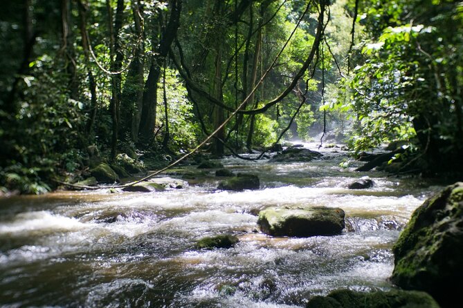 Inthanon National Park Tour with Soft Hike at Pha Dok Siew Trail - What You’re Paying For: Is $107.42 a Good Value?