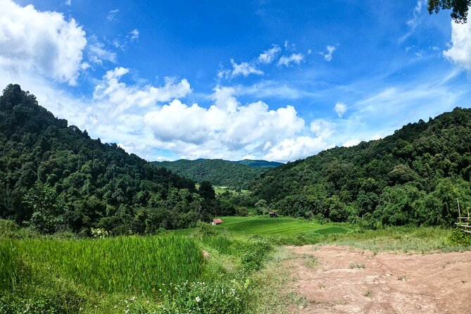 Inthanon National Park Tour with Soft Hike at Pha Dok Siew Trail - Should You Book This Inthanon Soft Hike Tour?