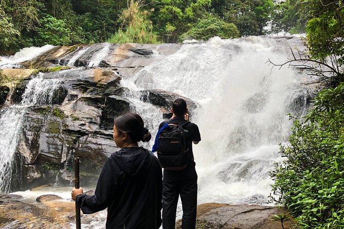 Inthanon National Park Tour with Soft Hike at Pha Dok Siew Trail - Pagodas for the King and Queen’s 60th Birthdays, Plus a Hmong Market Quick Browse