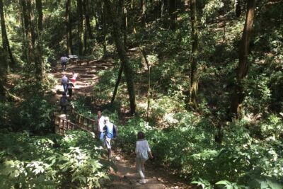 Inthanon Small-Group with Kew Mae Pan Trail from Chiang Mai include Lunch - Wachirathan Waterfall: first views and an easy win