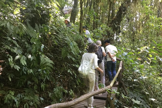 Inthanon Small-Group with Kew Mae Pan Trail from Chiang Mai include Lunch - Doi Inthanon summit and Angka Luang Natural Trail: Thailand’s highest point
