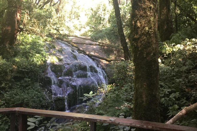 Inthanon Small-Group with Kew Mae Pan Trail from Chiang Mai include Lunch - Price and logistics: is $113.39 worth it?
