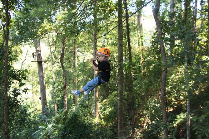 Jungle Flight Zipline Adventure From Chiang Mai - Sky Walk: Ancient Trees, Close-Up Canopy Views