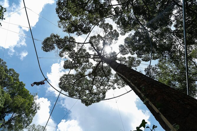Jungle Flight Zipline Adventure From Chiang Mai - Rainforest Preservation Talk That Feels Practical