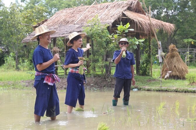 Local Farming Experience in Chiang Mai, Thailand - Weather and practical prep so you don’t suffer