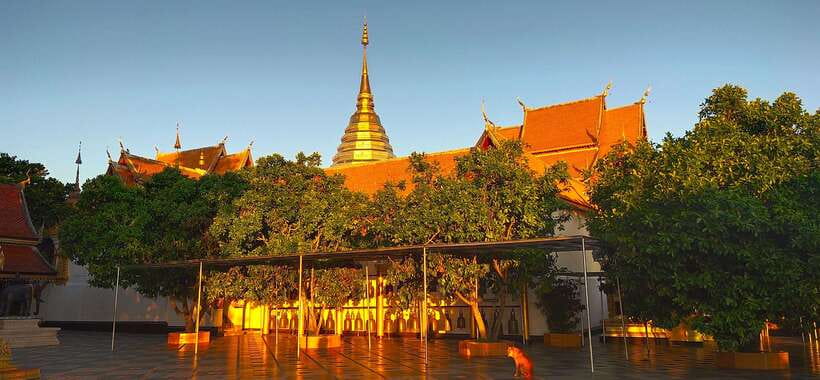 Monk trails hike, Wat Phalat, Monk chanting, Wat Doi Suthep. - Who should book this tour (and who should skip it)