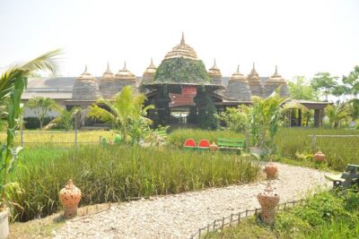 Morning Cooking Class in Organic Farm with Local Market Tour - What you’ll cook: Thai basics, not just one signature dish