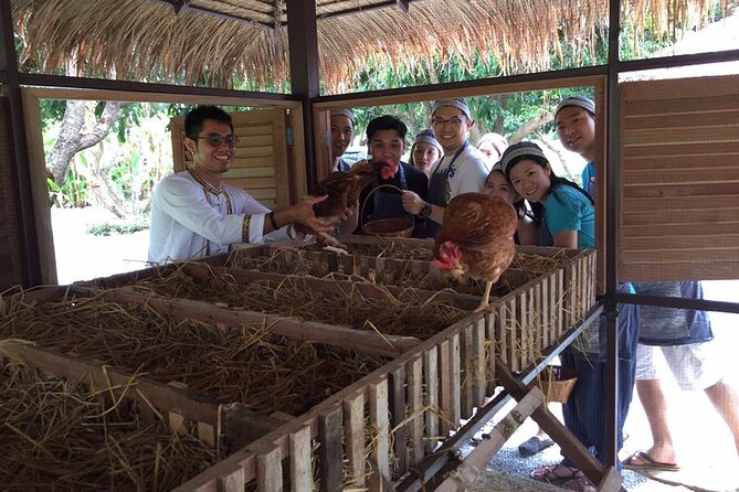 Morning Cooking Class in Traditional Pavilion with Beautiful Garden - Chiang Mai - Cooking in Thai pavilions with an 8-person limit