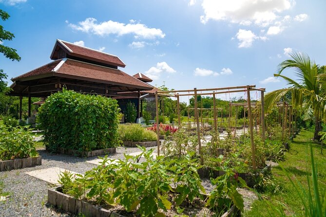 Morning Thai Cooking with Grandma - Market Visit & Farm Tour - What You’ll Cook, and How to Recreate It Later