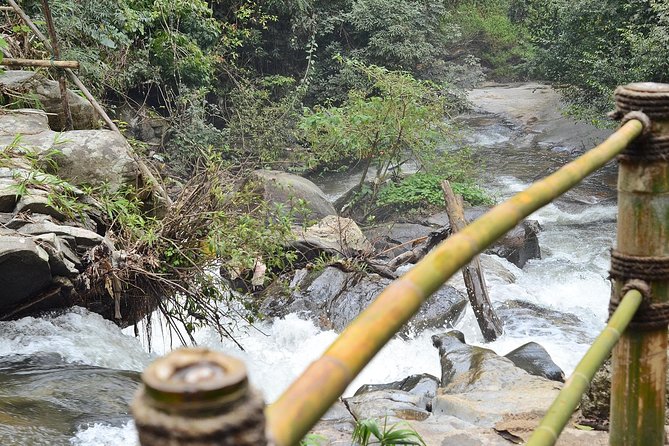 Mount Doi Inthanon Hiking & Bird Watching - The 1.5-hour nature trail: rice, flowers, waterfall, and coffee