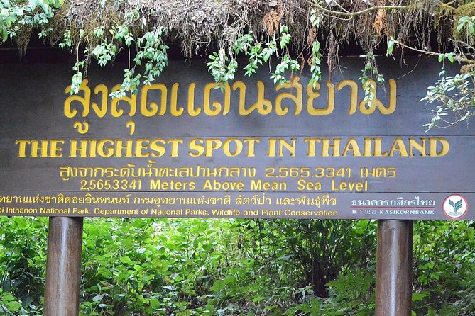 Mount Doi Inthanon Hiking & Bird Watching - Price check: is $152.50 per person good value?