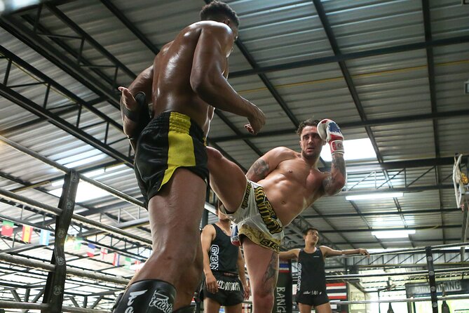 Muay Thai Experience - 1/2 Day - Price and Value: What $90.35 Buys You in Chiang Mai