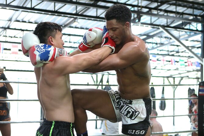 Muay Thai Experience - 1/2 Day - A Boutique Gym by the Rice Fields (and Why That Matters)