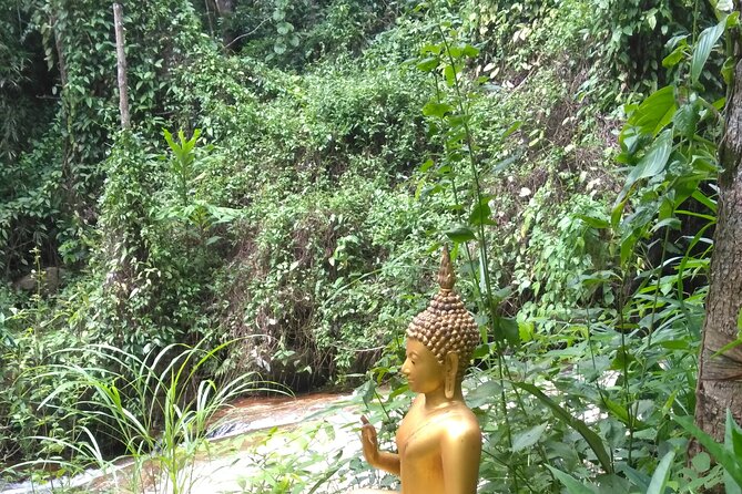 No.1 Chiang Mai: 3-Hour Monk Trail Hike to Wat Doi Suthep & Palad - Wat Pha Lat and the Monk’s Trail Segments: Quiet Nature Time
