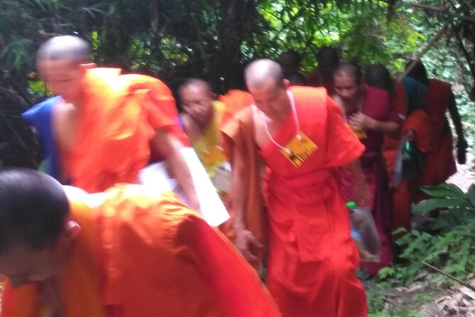 No.1 Chiang Mai: 3-Hour Monk Trail Hike to Wat Doi Suthep & Palad - Starting in Doi Suthep-Pui National Park: The Morning Pace