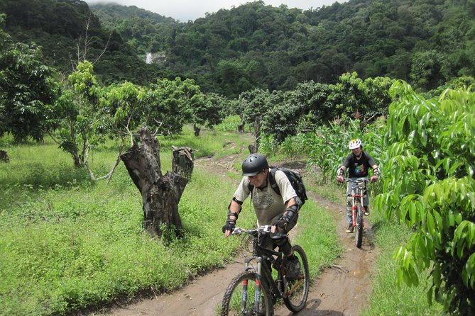 No.1 Chiang Mai: Advanced XC Downhill Biking, Doi Suthep N. Park - Doi Pui to Doi Suthep: why this area fits an advanced downhill day