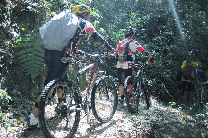 No.1 Chiang Mai: Advanced XC Downhill Biking, Doi Suthep N. Park - Coffee, forest plantations, and the Huay Tueng Tao finish