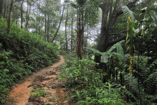 No.1 Chiang Mai: Advanced XC Downhill Biking, Doi Suthep N. Park - Pickup, timing, and how the day stays organized