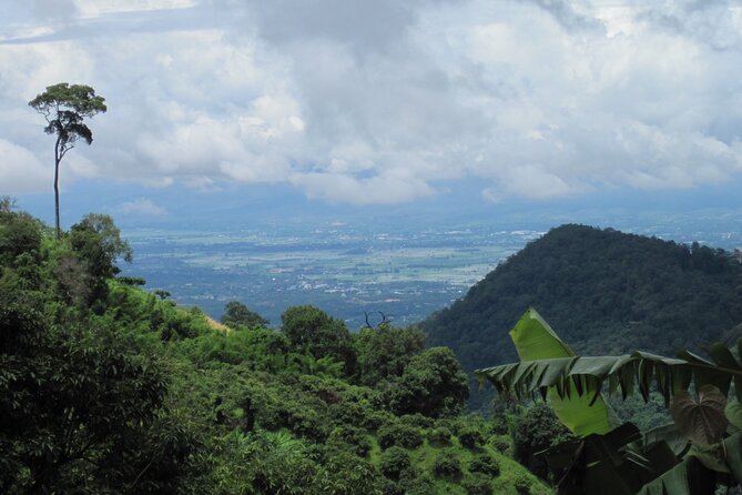 No.1 Chiang Mai: Advanced XC Downhill Biking, Doi Suthep N. Park - Cost and value: what you get for $80.67 and what costs extra