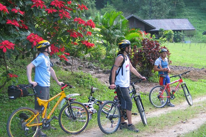 No.1 Chiang Mai: Advanced XC Downhill Biking, Doi Suthep N. Park - Who this ride suits best (and who should choose a different day)
