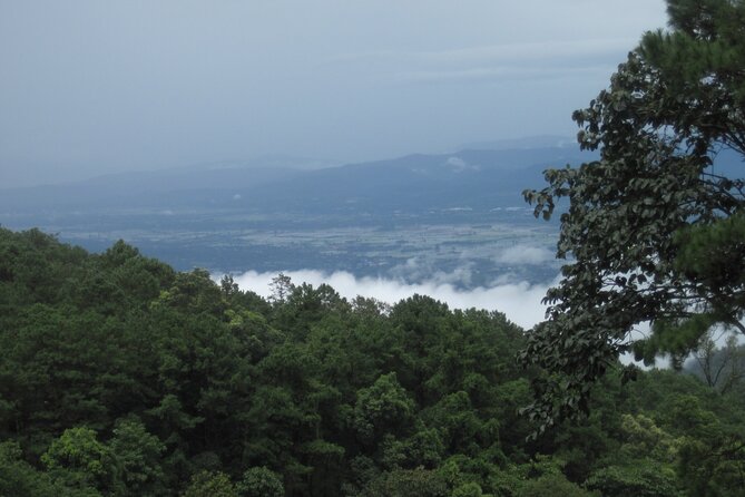 No.1 Chiang Mai: Advanced XC Downhill Biking, Doi Suthep N. Park - Should you book this Chiang Mai advanced downhill ride?