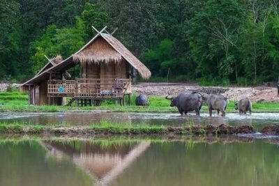 "No.1 Chiang Mai: Leisure Bicycle Ride to Lake Huay Tueng Tao" - Out of Chiang Mai: why the traffic section matters