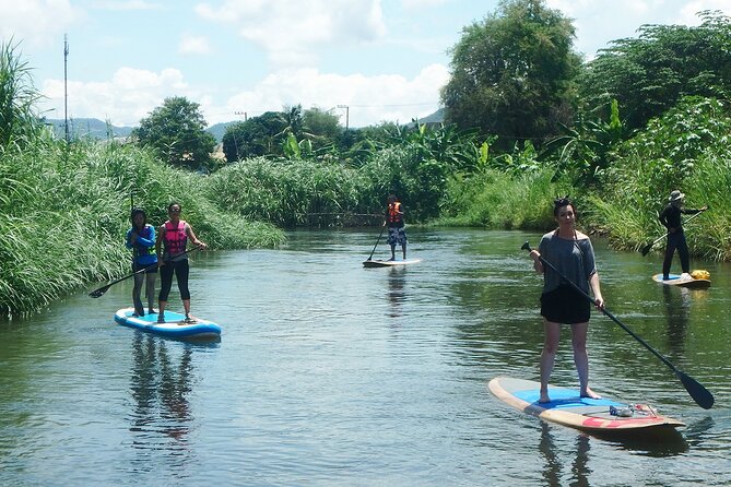 No.1 Chiang Mai: Stand Up Paddle Board through Mae Taeng Forest - Mae Ping River time: calm paddling, Class 1 currents, and real technique