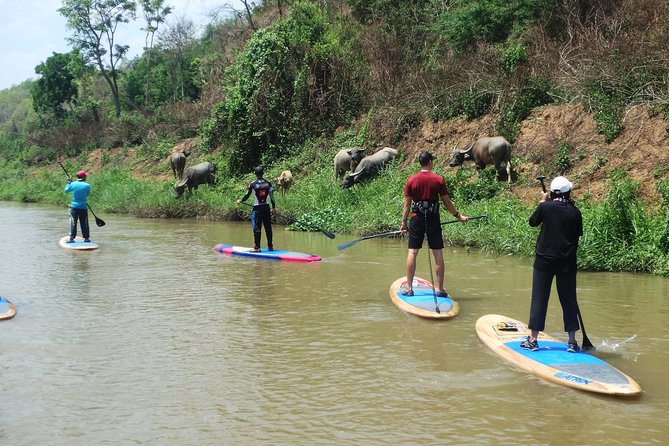 No.1 Chiang Mai: Stand Up Paddle Board through Mae Taeng Forest - Getting on the water: SUP training, safety gear, and the kayak option