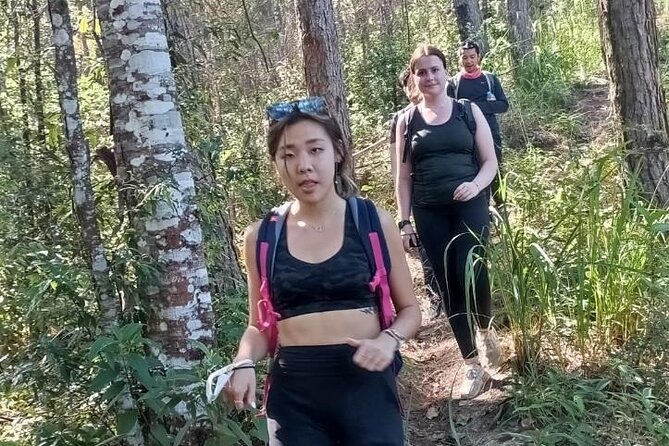"No.1 Chiang Mai: Suthep N. Park Leisure walks & Mountain Biking" - Stop 3: Wat Pha Lat and the Old-Temple Pause Before the Ride Back Down